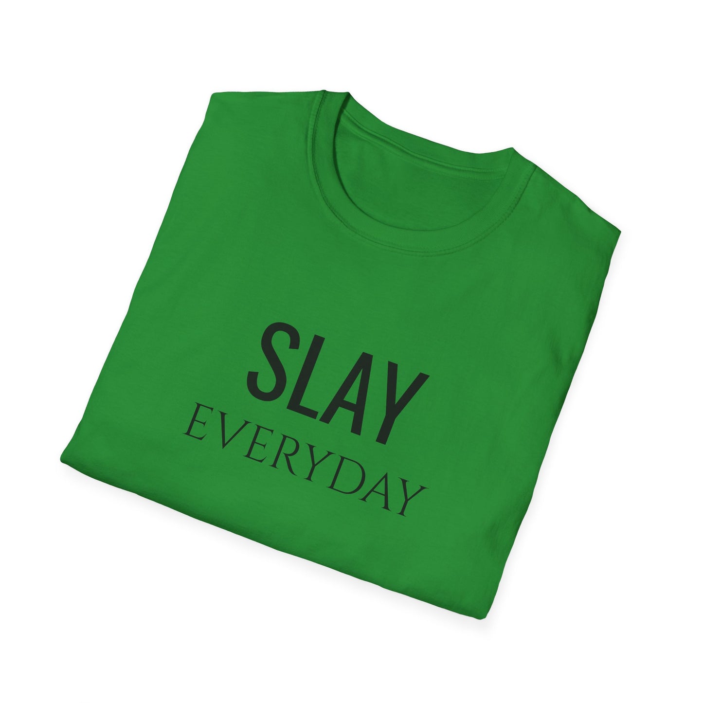 Slay Everyday - Unisex Softstyle T-Shirt