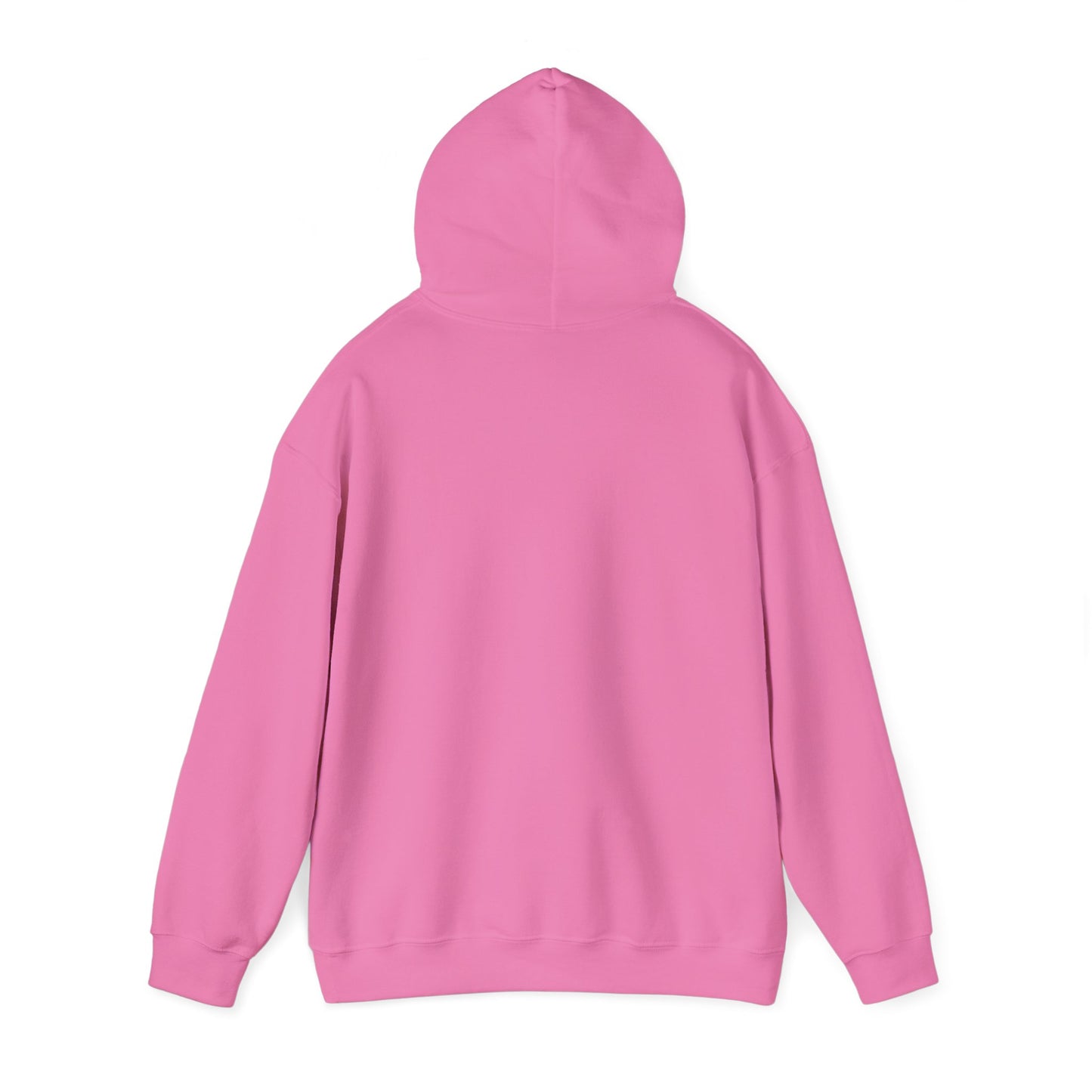 Funny Teacher Dinosaur Hoodie - Unisex Heavy Blend Sweatshirt