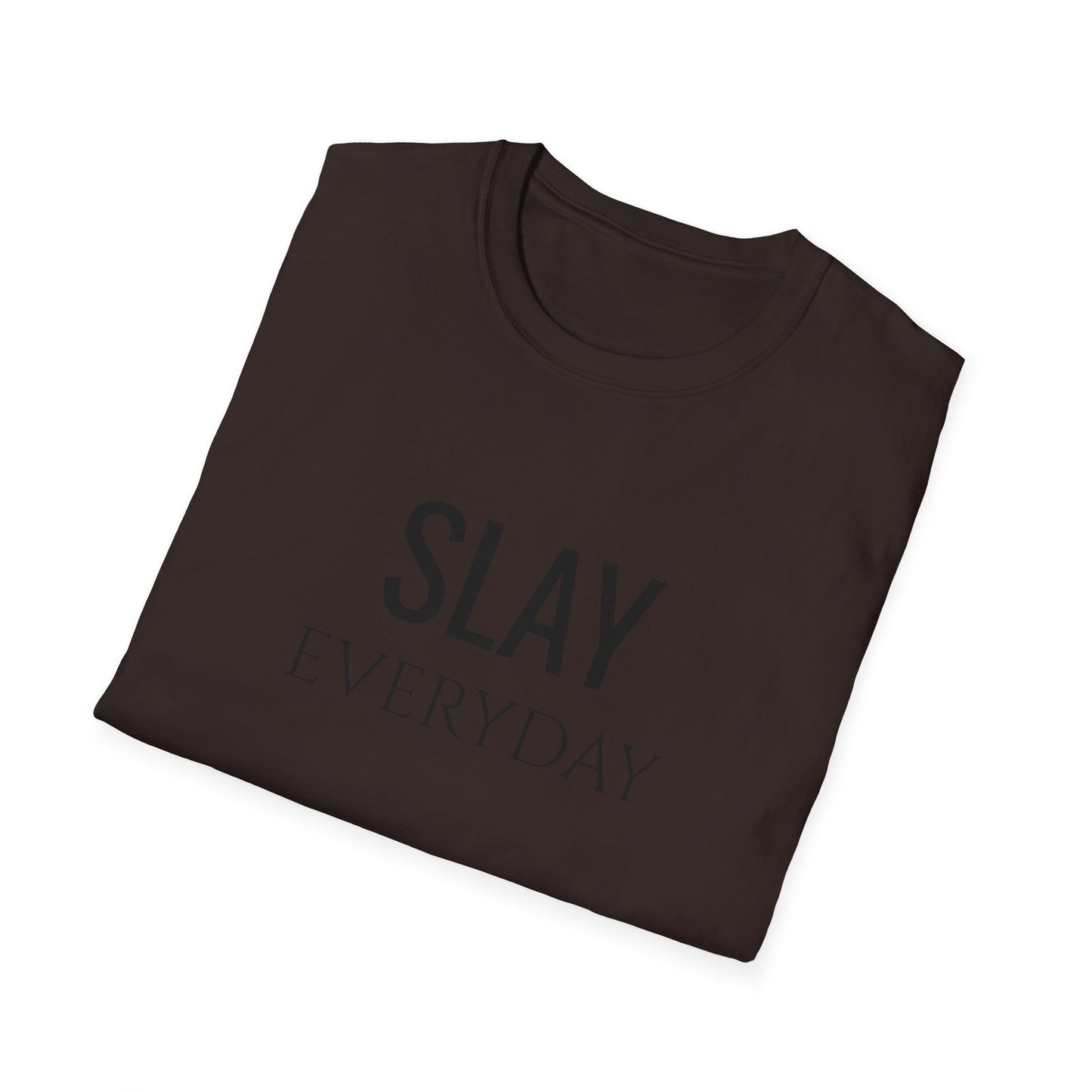 Slay Everyday - Unisex Softstyle T-Shirt