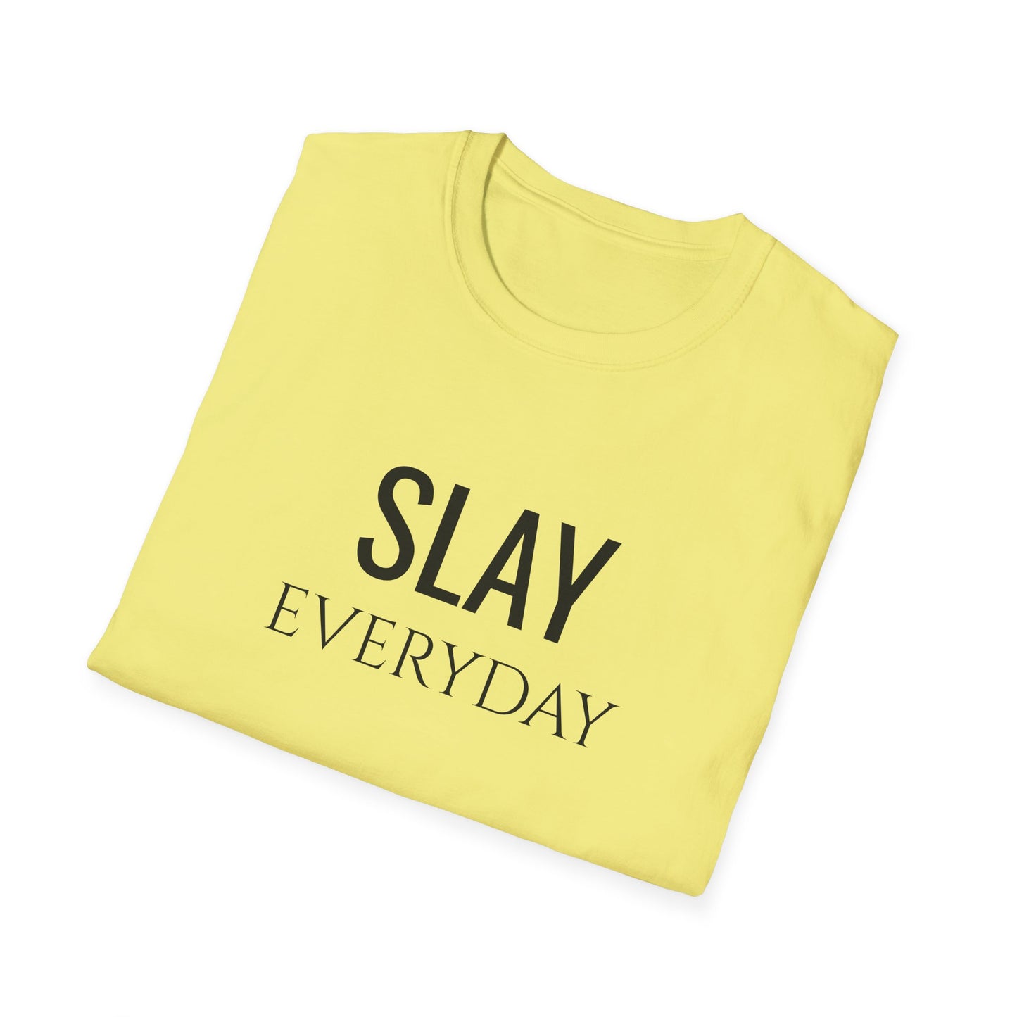 Slay Everyday - Unisex Softstyle T-Shirt