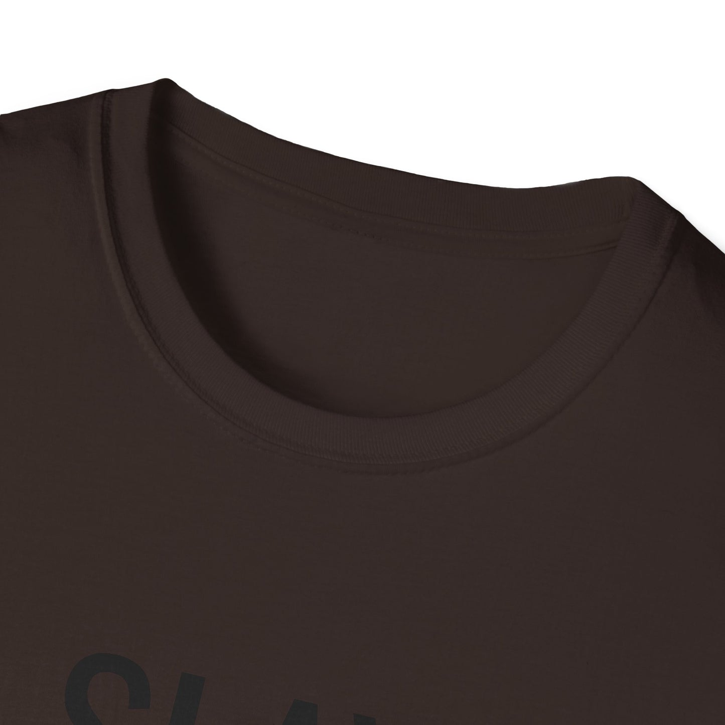 Slay Everyday - Unisex Softstyle T-Shirt