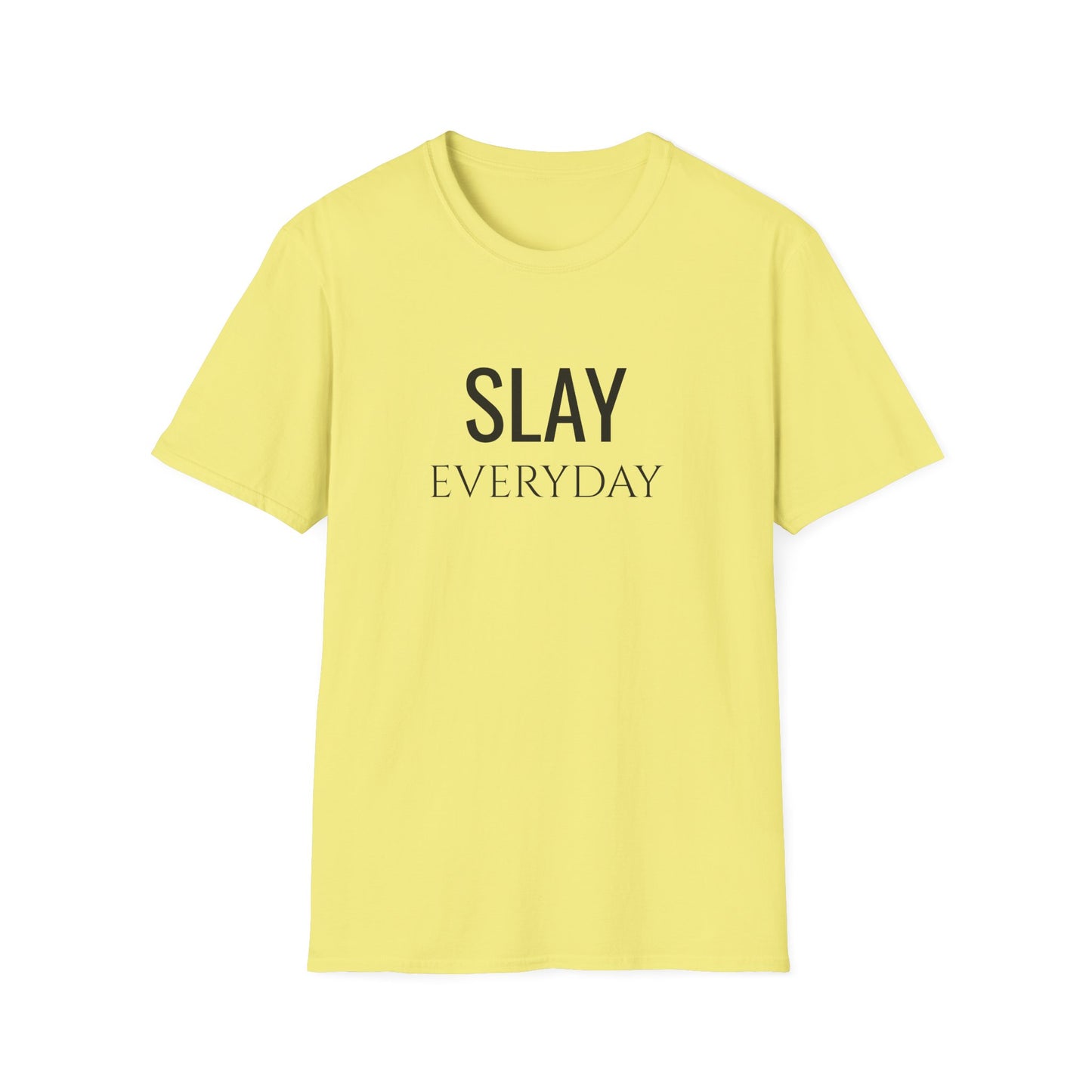 Slay Everyday - Unisex Softstyle T-Shirt