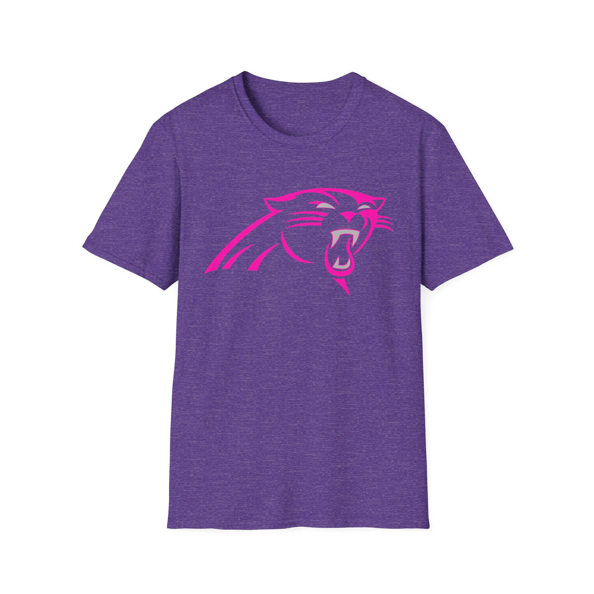 Panthers Graphic T-Shirt