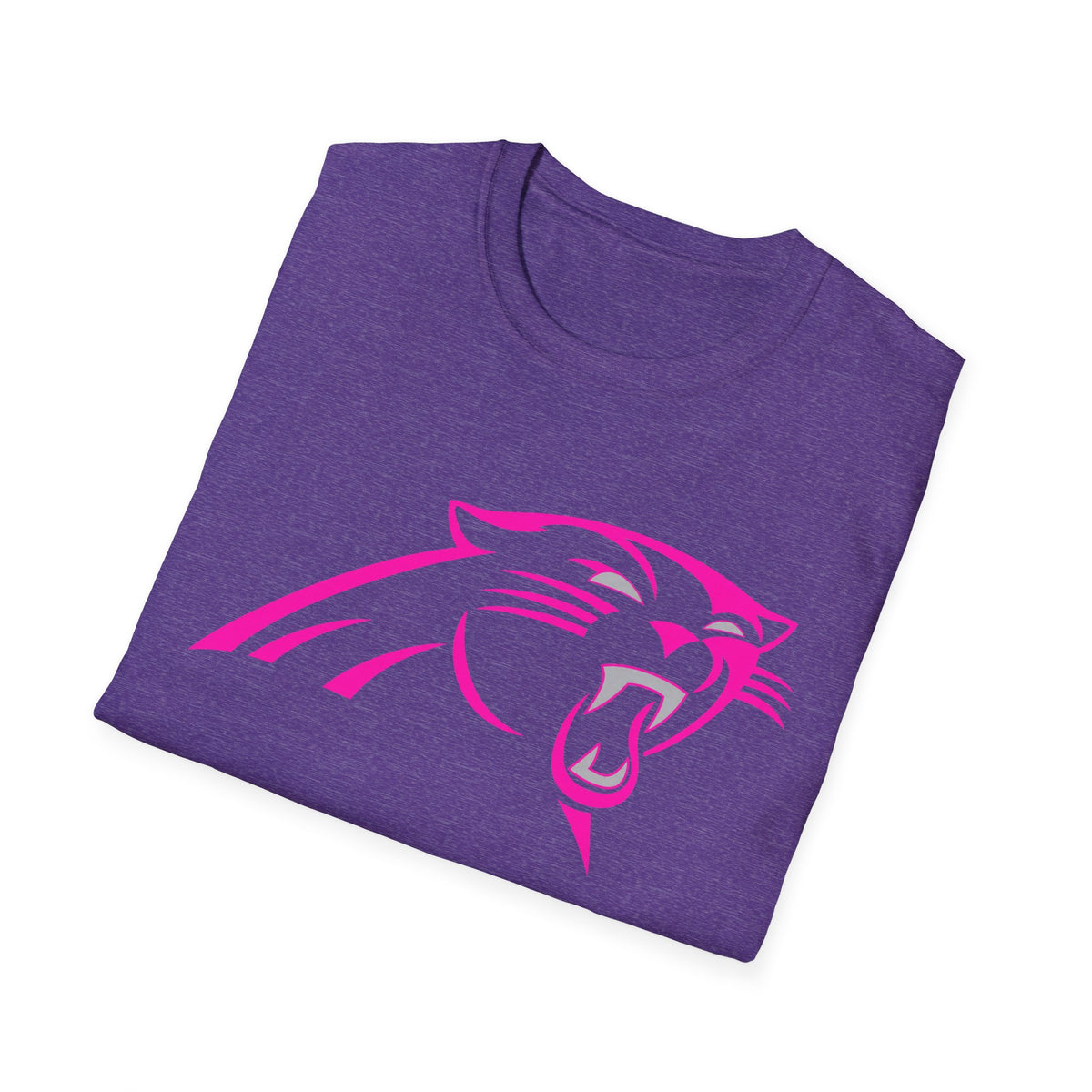 Panthers Graphic T-Shirt