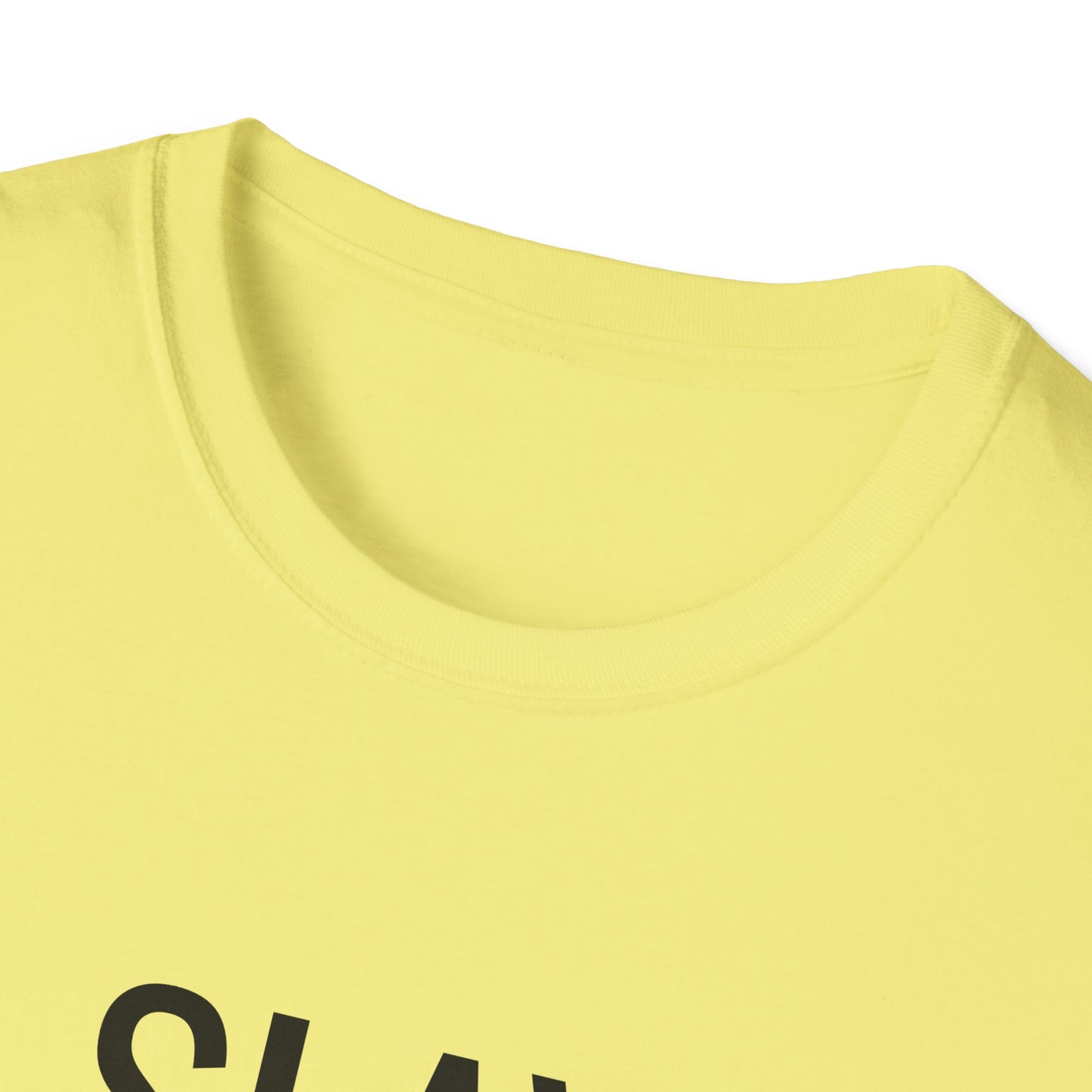 Slay Everyday - Unisex Softstyle T-Shirt