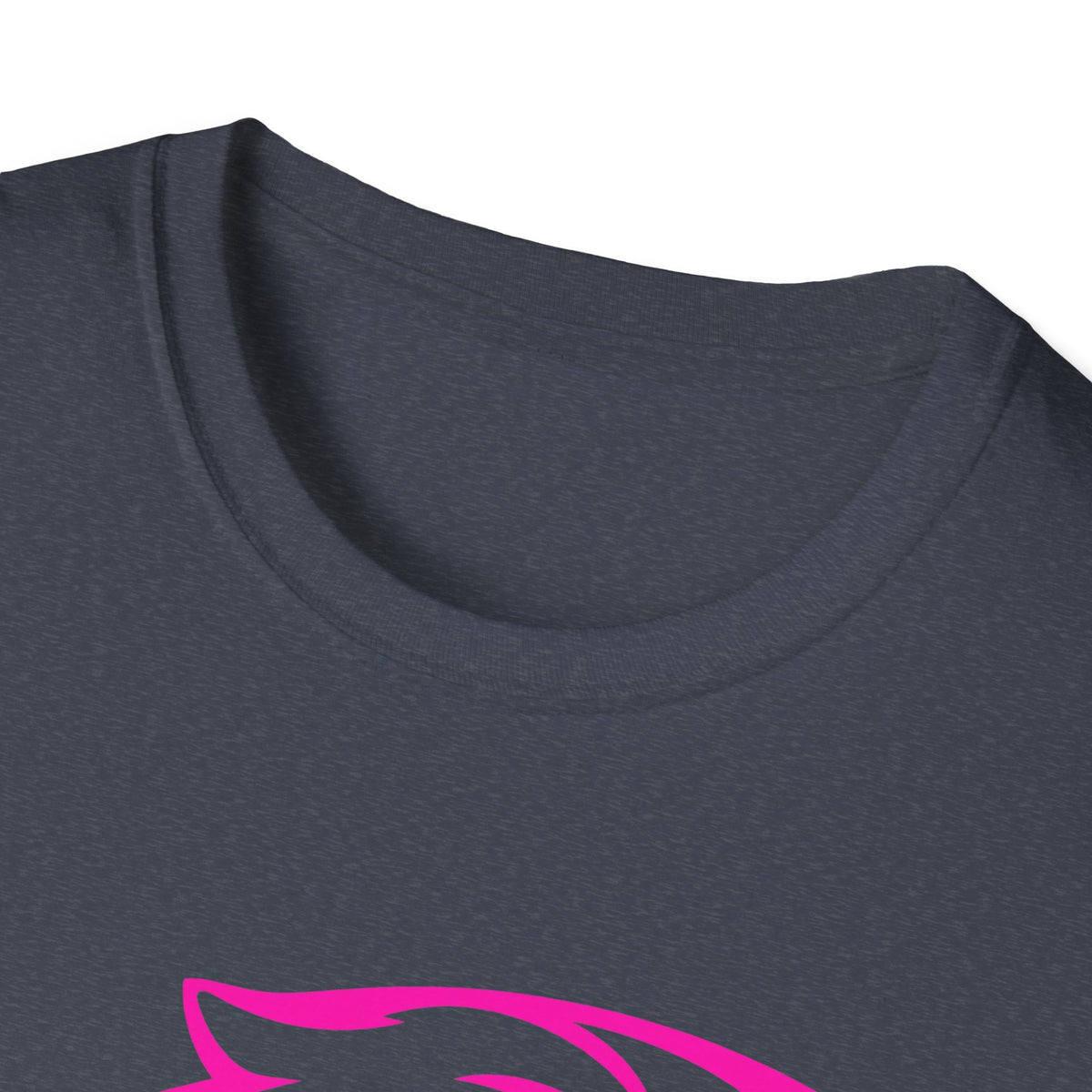 Panthers Graphic T-Shirt