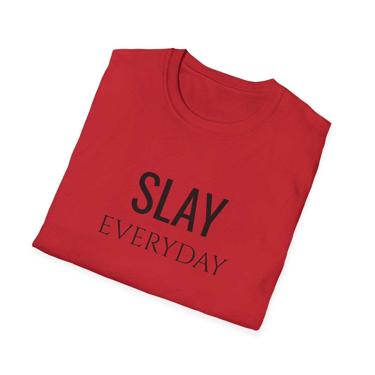 Slay Everyday - Unisex Softstyle T-Shirt