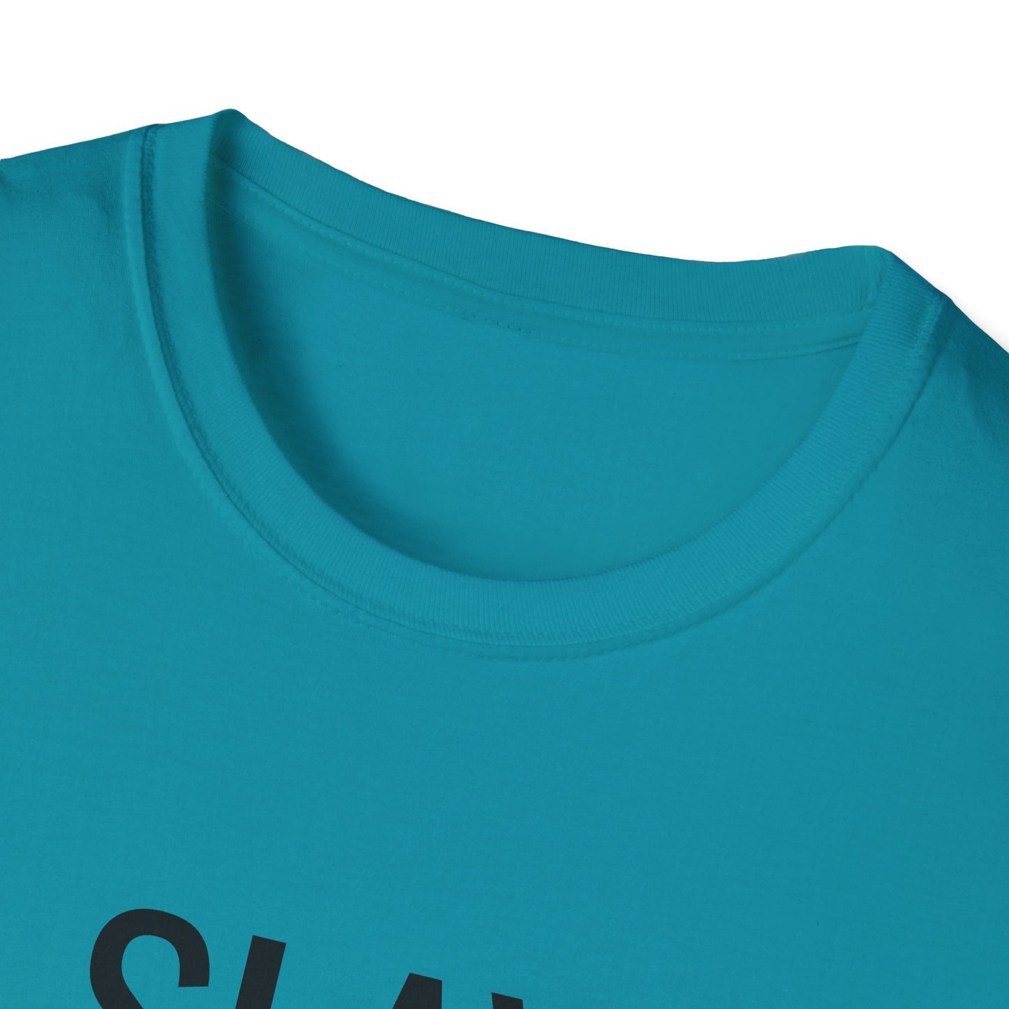 Slay Everyday - Unisex Softstyle T-Shirt