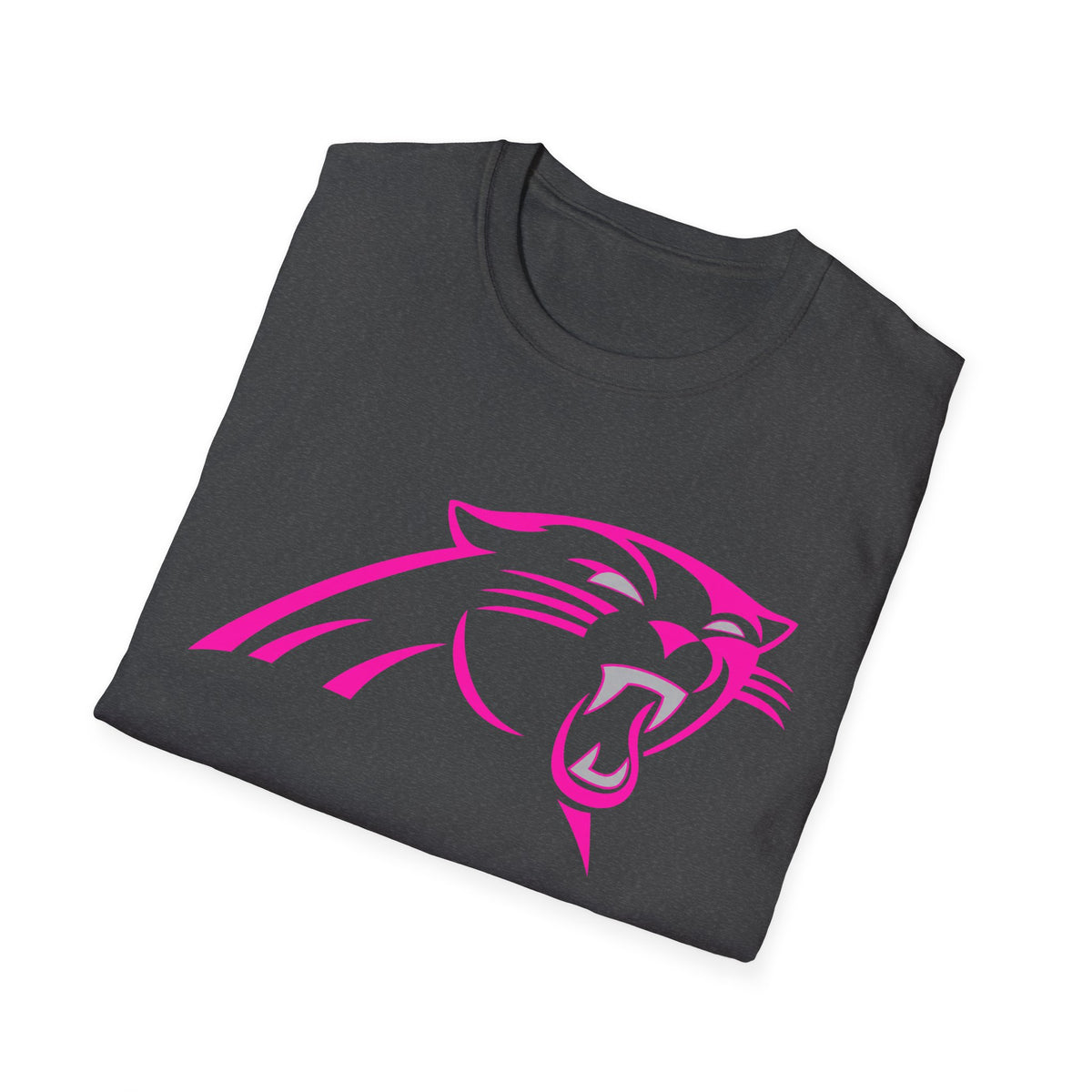 Panthers Graphic T-Shirt