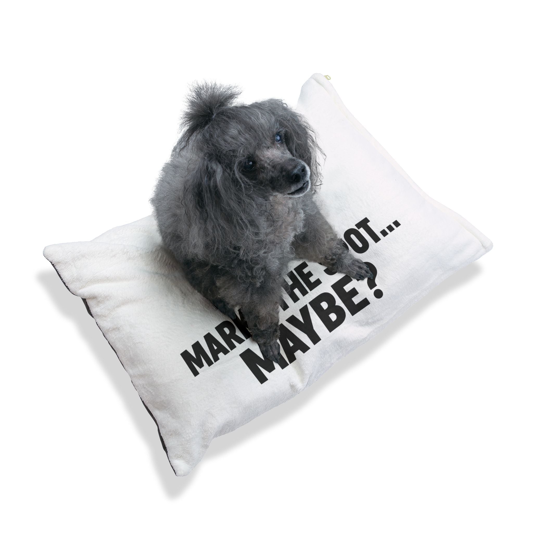 Pet Bed — "X Marks the Spot... Maybe?" Funny Dog & Cat Lounger